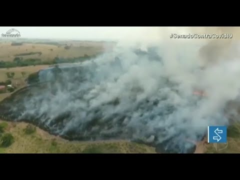 Frente Ambientalista do Congresso debate desmatamento e presença de militares na Amazônia
