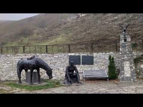 Лженаследница Зелимхана Харачоевского ➤ Кошка Чечня БлоХер