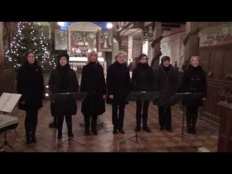 vocalpop "Regenbogen": Sieh diese Welt