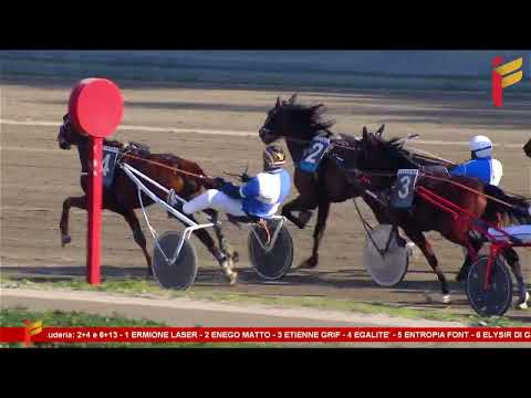 IV corsa del 22 febbraio 2023 - 3 Anni - Metri 2000 - Gentlemen