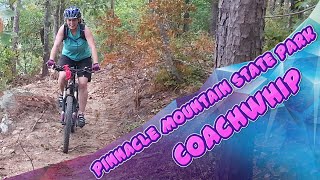 A little review of the Coachwhip loop.