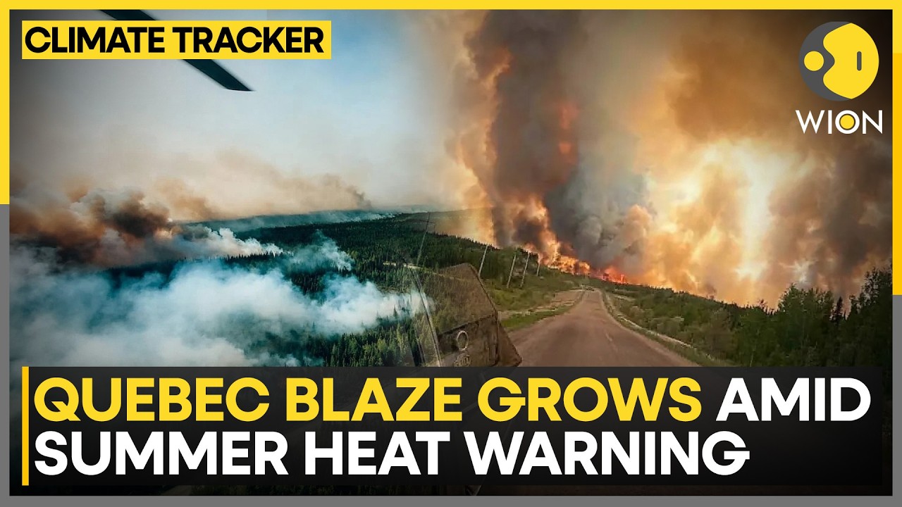 Massive Wildfire Burns Out of Control in Quebec | Climate Tracker | WION News