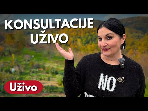 Odgovaram Na Vaša Pitanja - Konsultacije Uživo