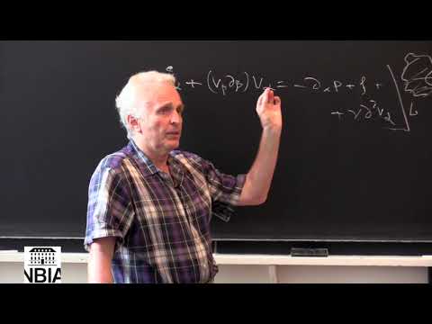 Alexander Polyakov | Simons Program Lecture