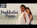 Pookkalai Naan Anbulla Maanvizhiye Tamil Movie Songs Sunil And Ashini Tamil Movie Songs