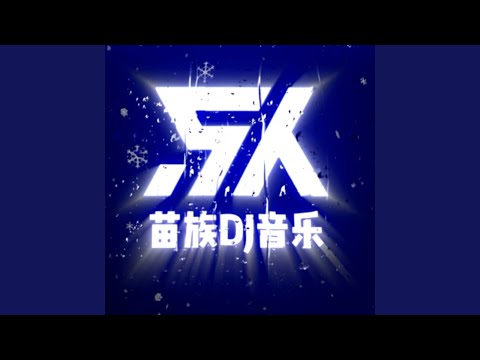 Ib lo lus（DJ版）