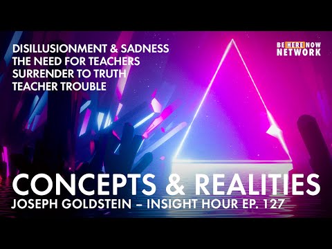 Joseph Goldstein: Concepts & Realities - Insight Hour Ep. 127