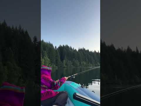 15 июня 2025 г.