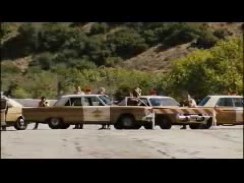 The Devil Rejects - Free Bird