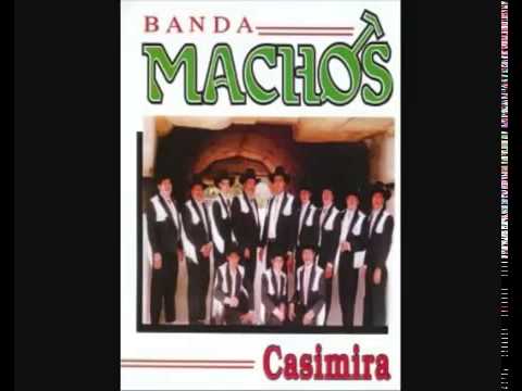 Un cariño como tu  Banda Machos