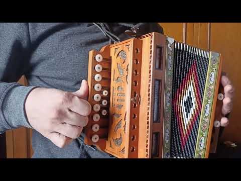 Tutorial organetto - Tarantella calabrese (esercizio liv. avanzato)