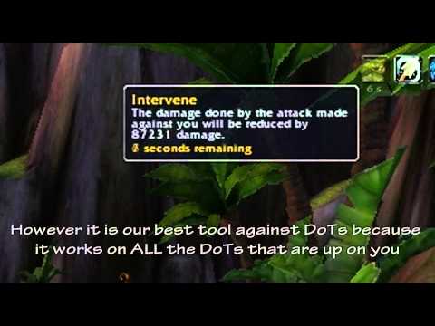 Brang - WoW 85 Hunter PvP Guide