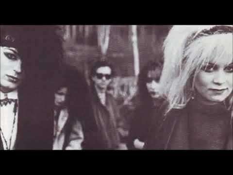 GARDEN OF DELIGHT - 22 Faces