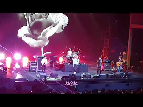 190629 2019 N.FLYING LIVE 'UP ALL NIGHT' IN BANGKOK - Like A Flower