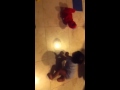 Tickle Me Elmo