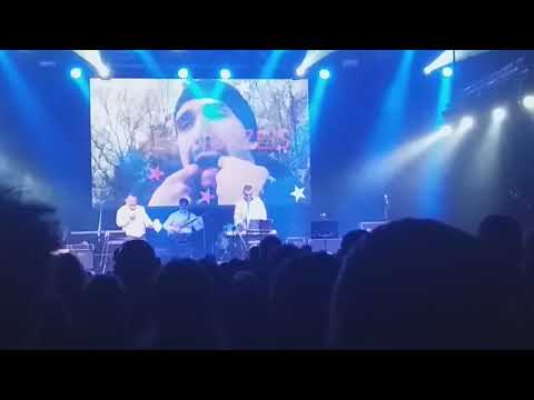 Zacieralia 2019   THE ANDRZEJS cz1