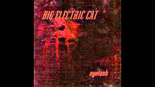 Big Electric Cat - Hallucinations