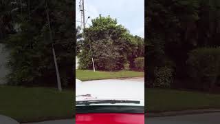 1954 Chevrolet Corvette Convertible Driving POV