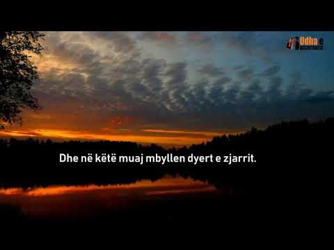 Në Ramazan hapen dyert e Xhenetit dhe mbyllen dyert e Zjarrit   Shejh Salih el Feuzani