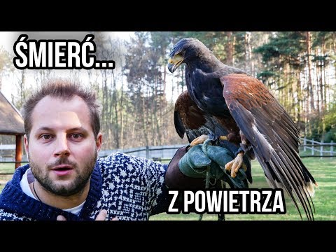 download lagu mp3 mp4 Harris Ptak, download lagu Harris Ptak gratis, unduh video klip Harris Ptak