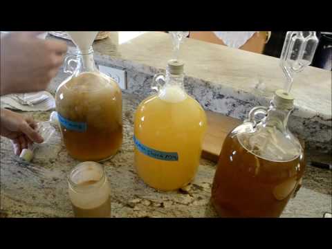 download lagu mp3 mp4 How To Make Short Mead, download lagu How To Make Short Mead gratis, unduh video klip How To Make Short Mead
