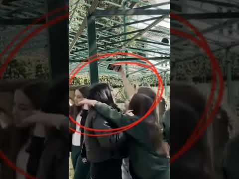 A Lu sendo excluída😢 #edit #luluca