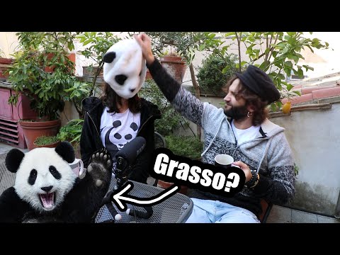 Perchè il PANDA è GRASSO se mangia solo verdura? (feat. Barbascura X)