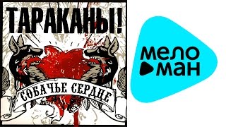 Тараканы! -  Собачье сердце   (Альбом 2010)