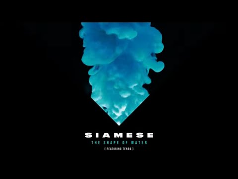 Siamese - The Shape of Water feat. ten56. (Official Visualizer)