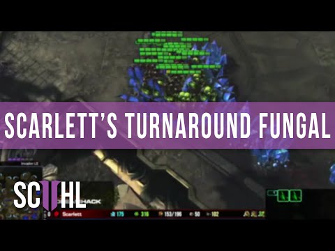 Scarlett's turnaround Fungal - Dreamhack Tours