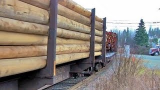 preview picture of video '[HD] Ontario Northland Freight at Swastika'