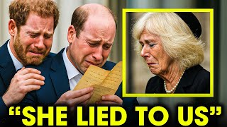 Princess Diana’s Lost Letter to Prince William Finally Revealed