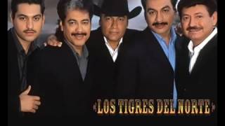 LOS TIGRES DEL NORTE CAMISA MOJADA