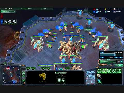 EGPuma vs EmpireWelmu Game 1 PvT