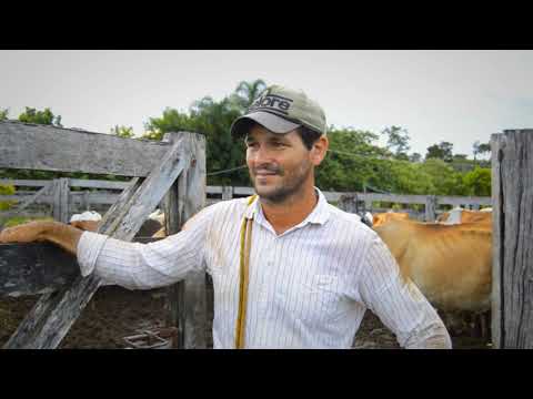 Documentário Gleba Reunidas II ( não aceitamos essa injustiça )