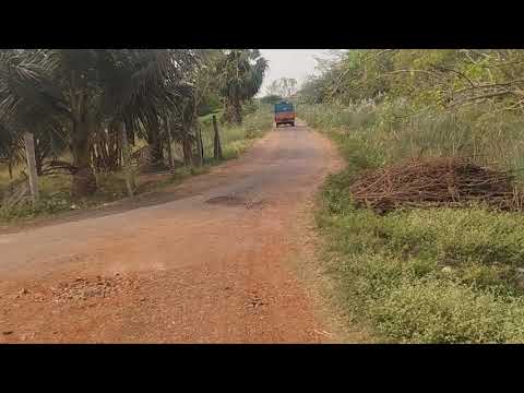  1308000 Sq.ft. Agricultural/Farm Land for Sale in Mannargudi, Thiruvarur