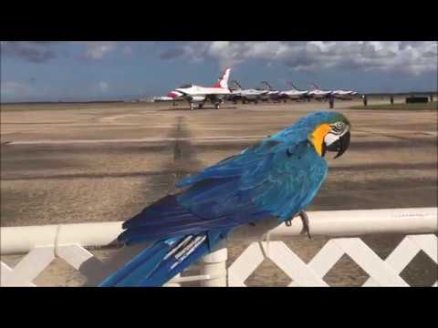 Wings Over Houston 2017 USAF Thunderbirds Taxi/Take Off/Make A Wish