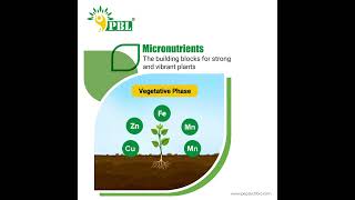 Required Micronutrients in Plants - Peptech Biosciences