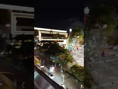 Plaza Victoria Pereira Risaralda