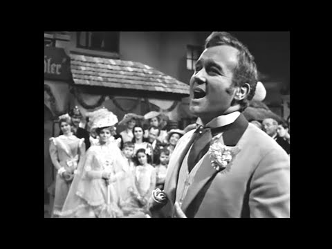 C.M. Ziehrer Melodien - Peter Minich, Elfriede Ott, Kurt Huemer, Brigitte Neumeister (1968)