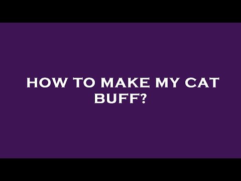 How to make my cat buff?