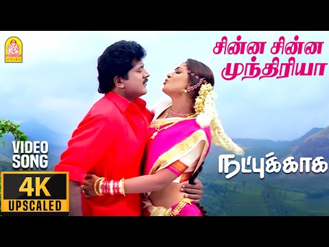 Chinna Chinna Mundhiriya - சின்ன சின்ன 4K Video |Natpukkaga | Sarathkumar | Simran | Deva | Ayngaran