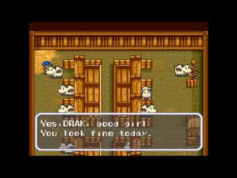 SKS Plays Harvest Moon - Episode 73 - Almost Festival Time!