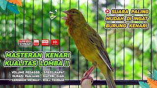 Download lagu Kenari GACOR NGEREK‼️ Masteran Kenari PAUD dan Pancingan Kenari MACET BUNYI dan Betina NGIWIR - 369 mp3 Download lagu Kenari GACOR NGEREK‼️ Masteran Kenari PAUD dan Pancingan Kenari MACET BUNYI dan Betina NGIWIR - 369 mp3