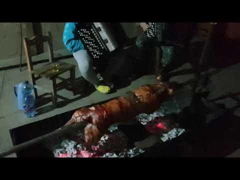 BOZICNA IDILA UZ HARMONIKU KUTICI😘