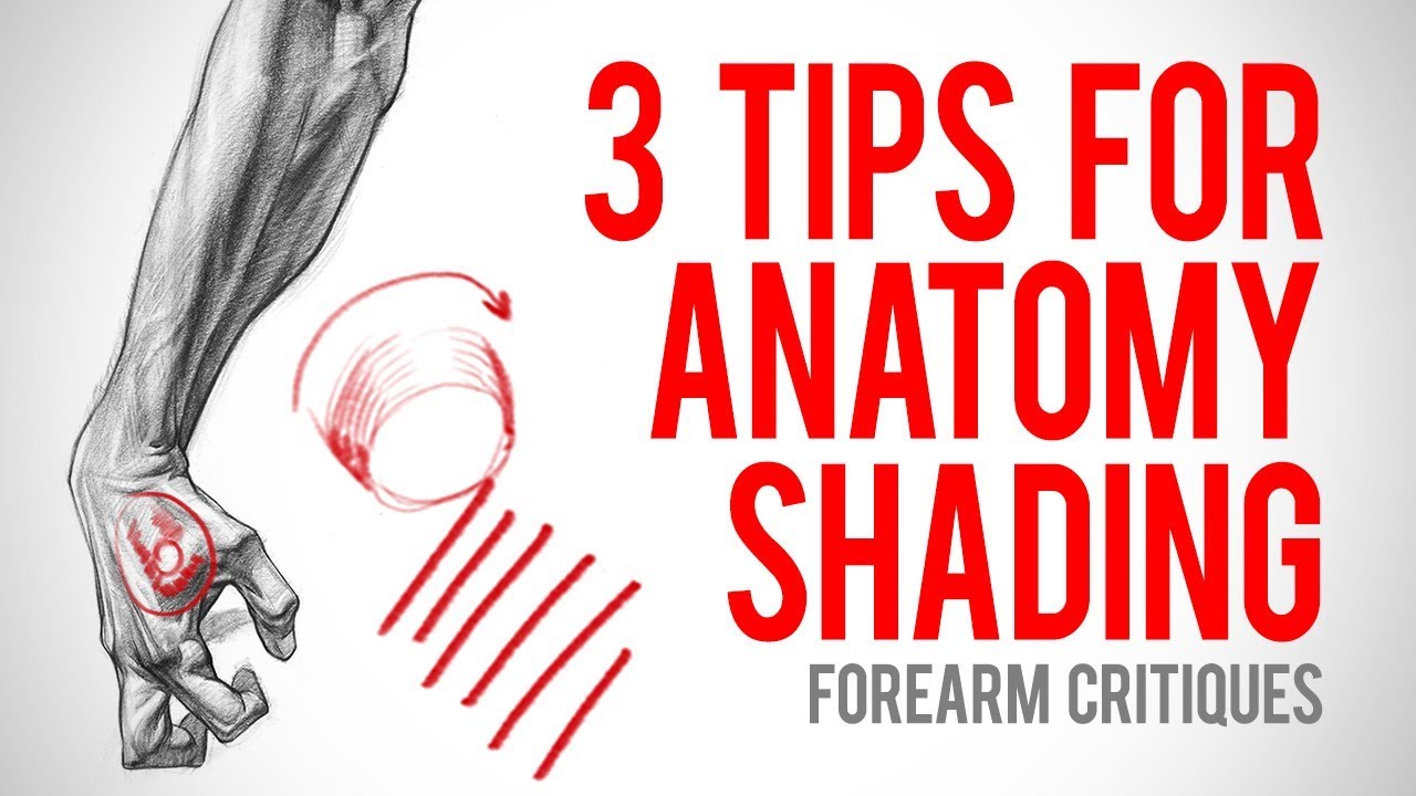 3 Tips for Better Anatomy Shading - Forearm Critiques