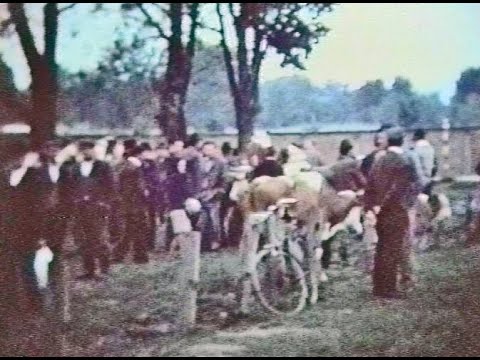 Stari pijac 1976. - Video razglednica 79