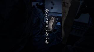 「君の不幸を願ったりはしないわ」#分かっちゃいないね #歌ってみた