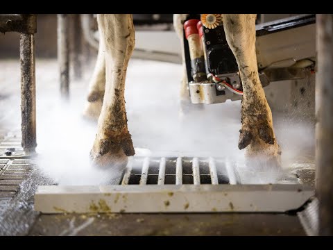 Klauensprühanlage - Lely Meteor || Das Rund-um-Paket für optimale Klauengesundheit