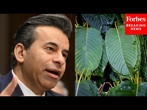 FDA Commissioner Marty Makary Asked Point Blank If Kratom Is Safe To Use